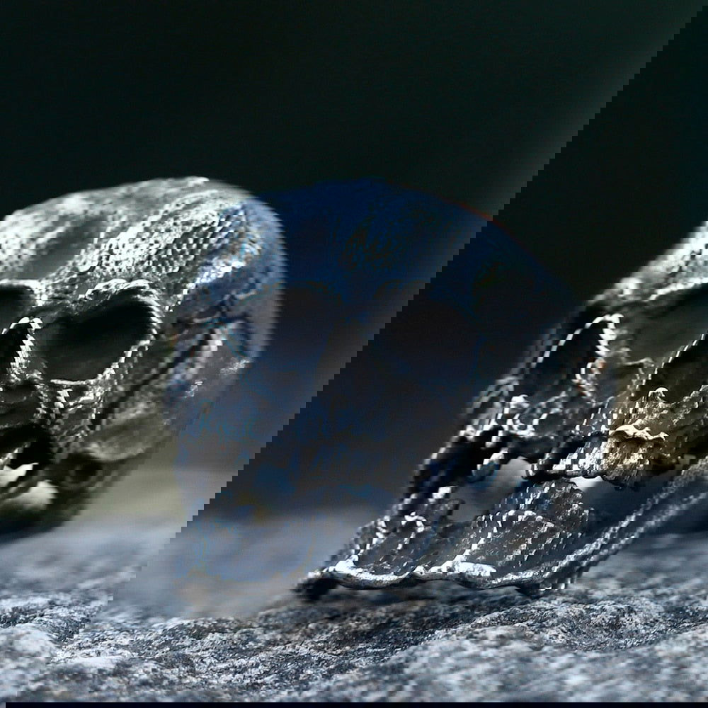 Double-Headed Gothic Mens Skull Ring - Titanium Steel Silver - Unisex - That Rock Aesthetic