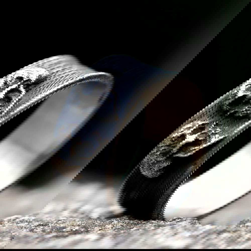 Double Skull Ring Mens - Stainless Steel Silver - Unisex - That Rock Aesthetic
