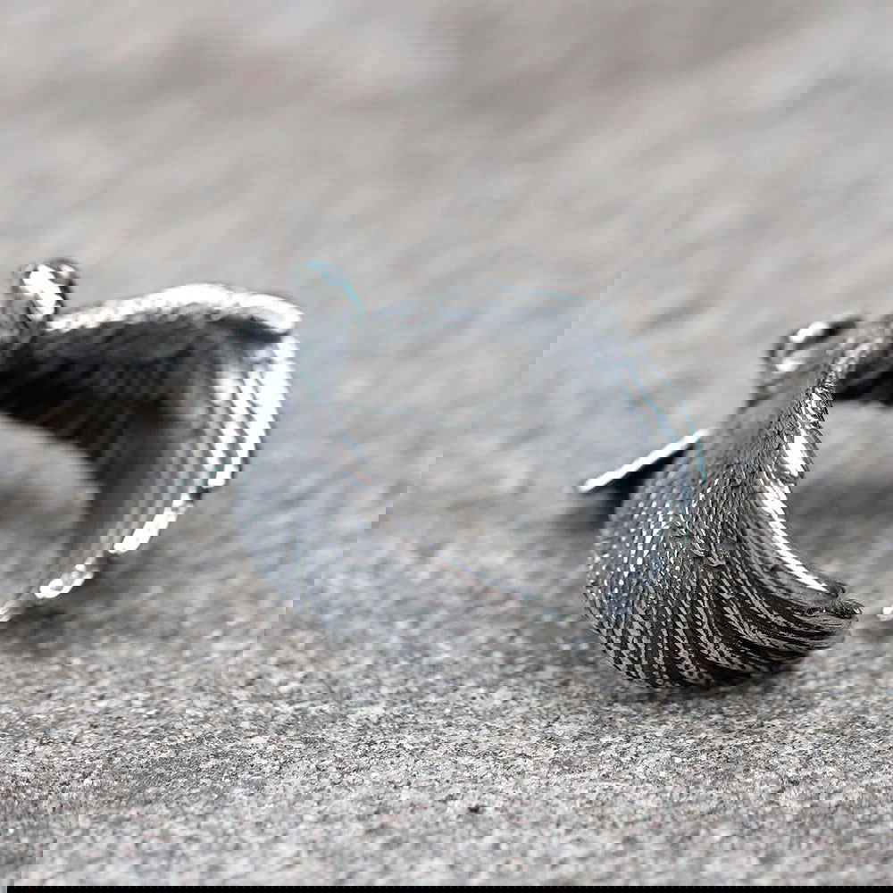 Flying Eagle Ring Mens Wraparound Wings - Stainless Steel Silver - Unisex - That Rock Aesthetic