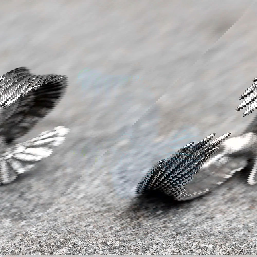 Flying Eagle Ring Mens Wraparound Wings - Stainless Steel Silver - Unisex - That Rock Aesthetic