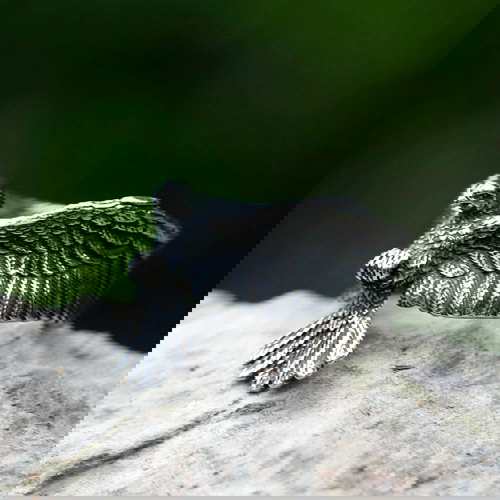 Flying Eagle Ring Mens Wraparound Wings - Stainless Steel Silver - Unisex - That Rock Aesthetic