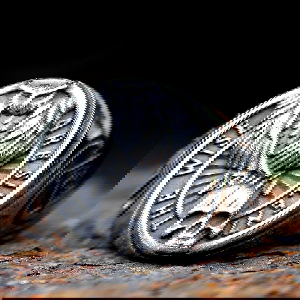 Gothic Owl Skull Signet Ring Mens - Stainless Steel Silver - Unisex - That Rock Aesthetic