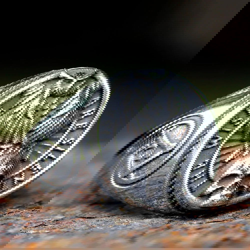 Gothic Owl Skull Signet Ring Mens - Stainless Steel Silver - Unisex - That Rock Aesthetic