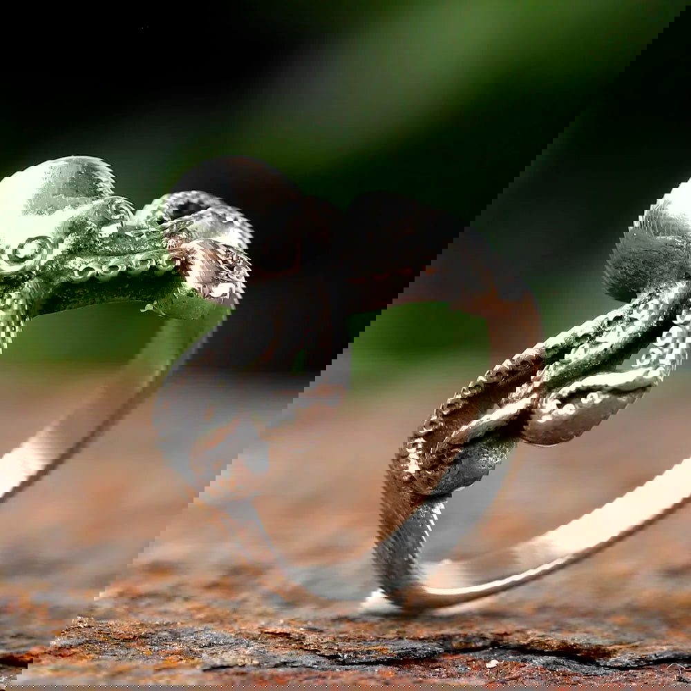 Octopus Mens Ring - Silver - Unisex - That Rock Aesthetic