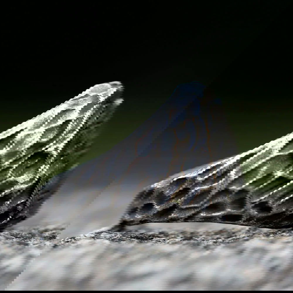 Rugged Norse Viking Compass Ring Mens Vegvisir - Stainless Steel Silver - Unisex - That Rock Aesthetic