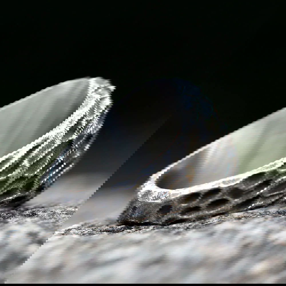 Rugged Norse Viking Compass Ring Mens Vegvisir - Stainless Steel Silver - Unisex - That Rock Aesthetic