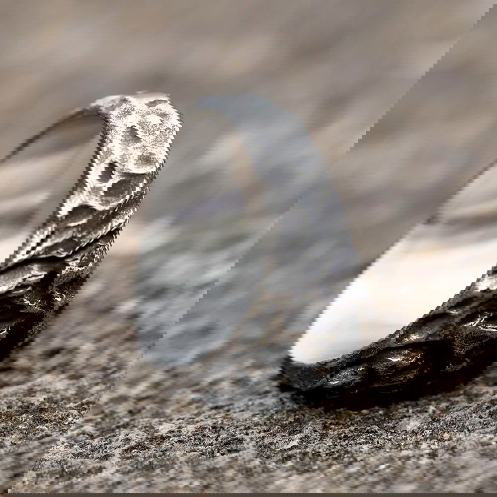 Rugged Norse Viking Compass Ring Mens Vegvisir - Stainless Steel Silver - Unisex - That Rock Aesthetic