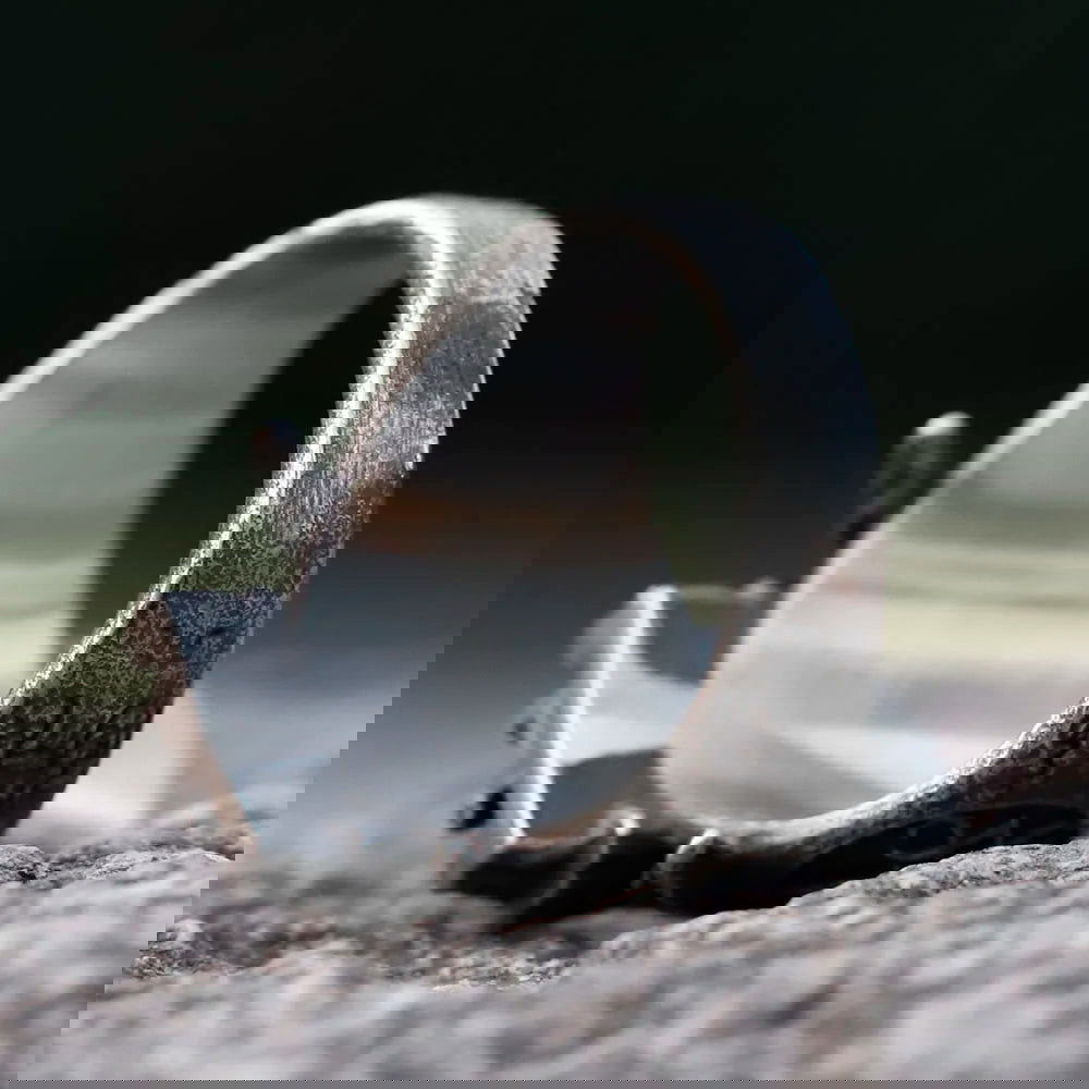 Satanic Throne of Baphomet Ring Mens - Stainless Steel Silver - Unisex - That Rock Aesthetic