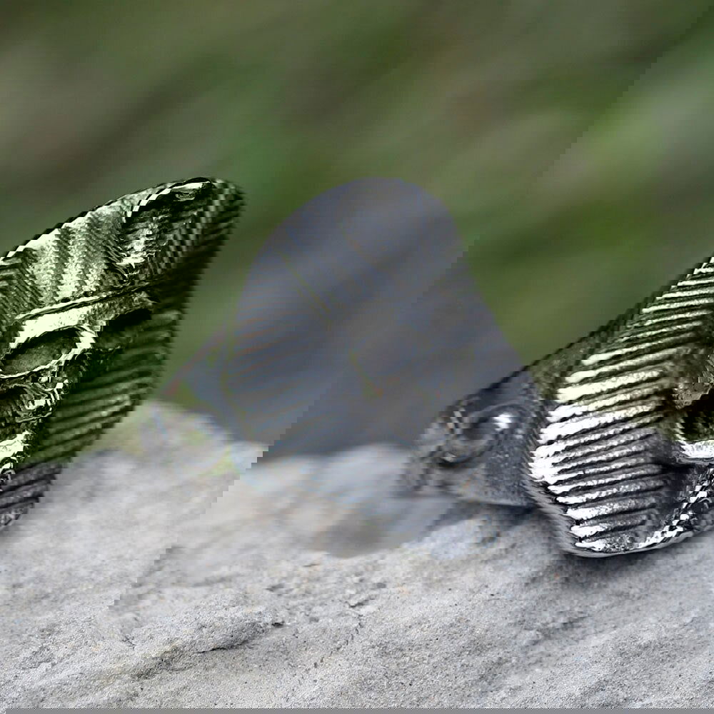 Snake Skull Ancient Egyptian Pharoah Ring Mens - Stainless Steel Silver - Unisex - That Rock Aesthetic