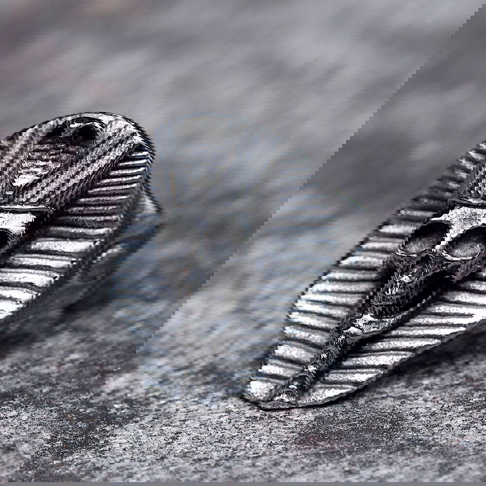 Snake Skull Ancient Egyptian Pharoah Ring Mens - Stainless Steel Silver - Unisex - That Rock Aesthetic