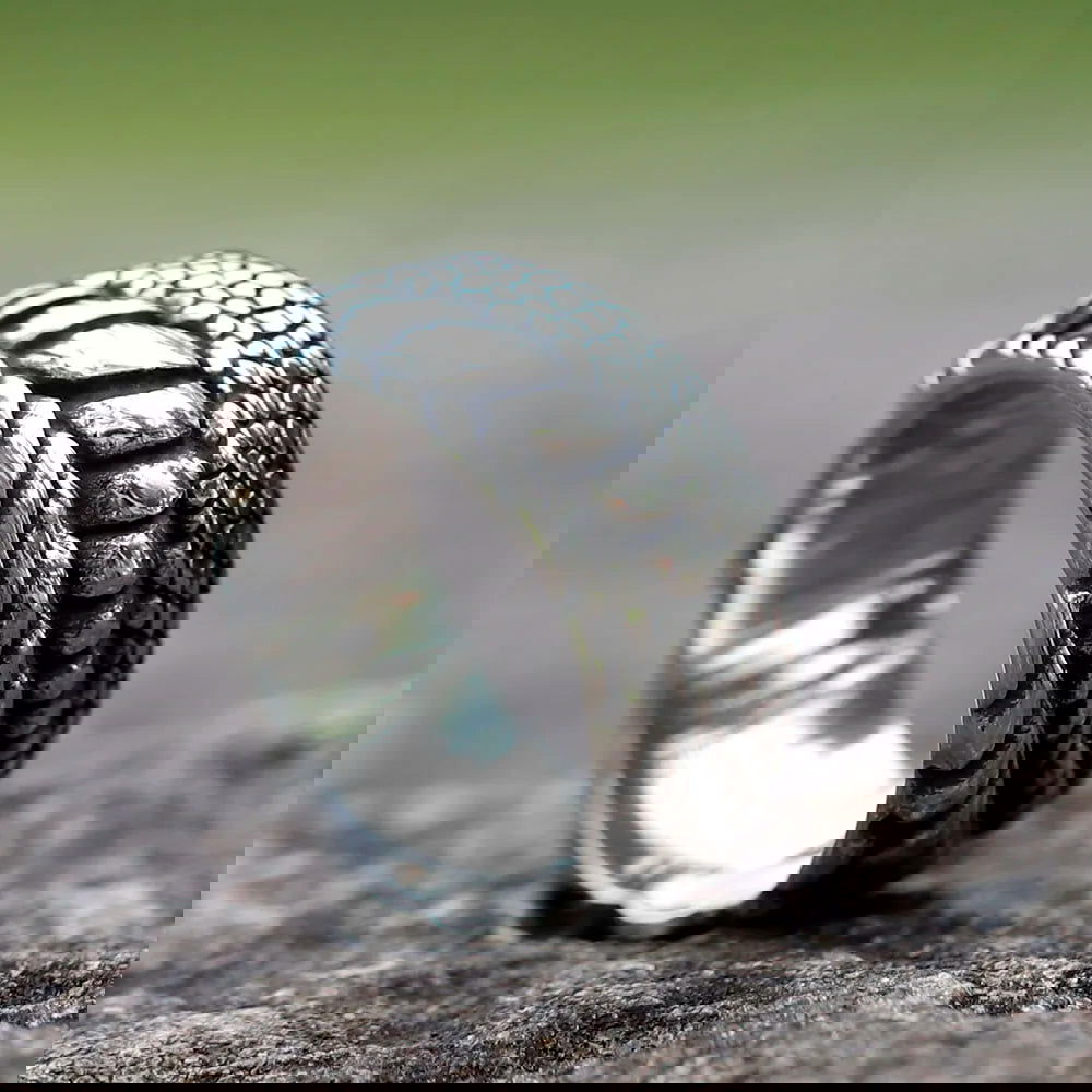 Crocodile Eye Ring Mens - Stainless Steel Silver - Unisex - That Rock Aesthetic