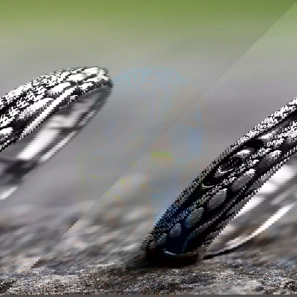 Crocodile Eye Ring Mens - Stainless Steel Silver - Unisex - That Rock Aesthetic