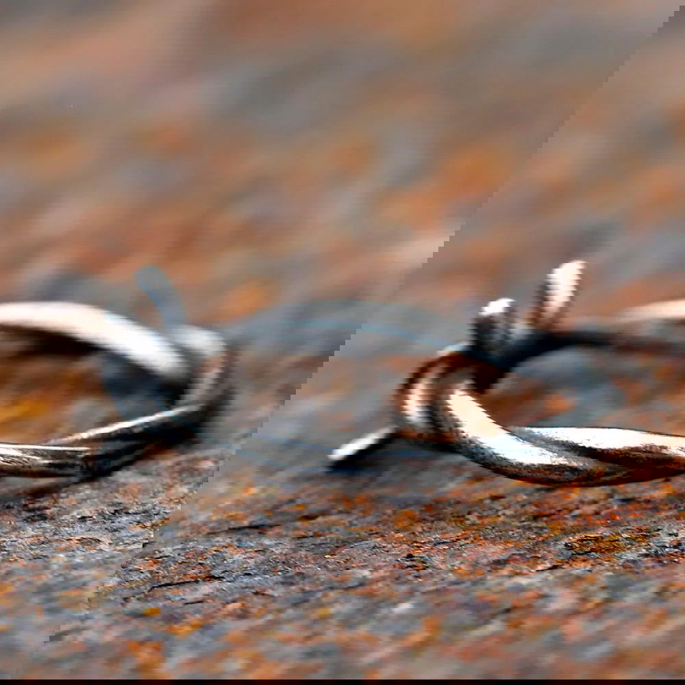Gothic Barbed Wire Ring Mens - Stainless Steel Silver - Unisex - That Rock Aesthetic