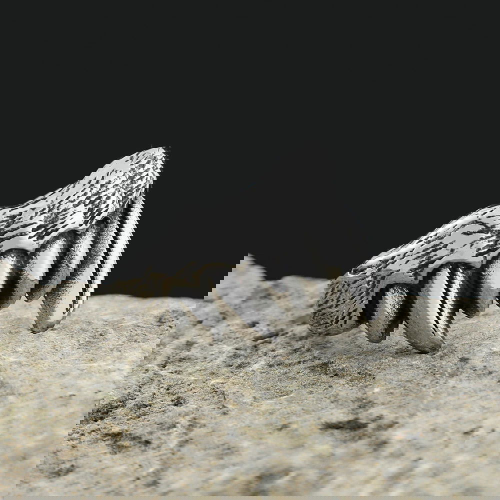Gothic Dracula Vampire Fangs Ring Mens - Stainless Steel Silver - Unisex - That Rock Aesthetic