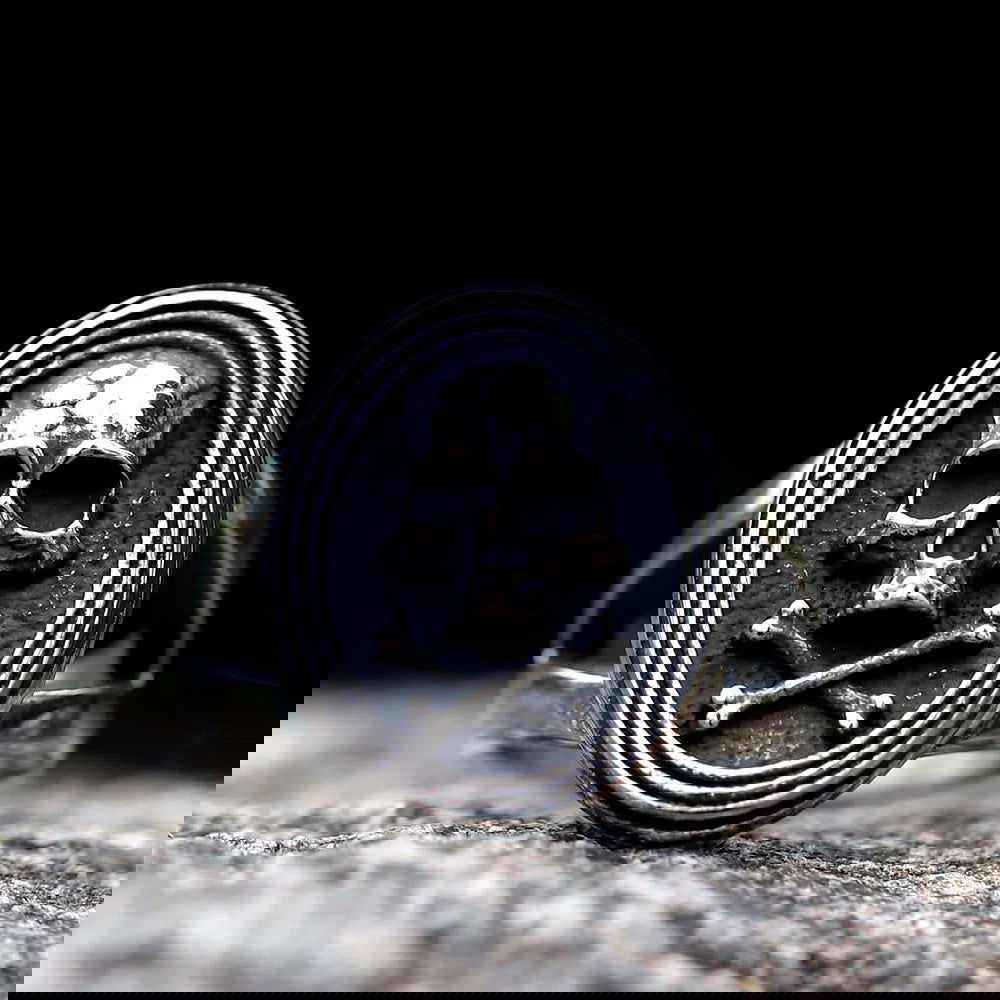 Gothic Mens Skull & Crossbones Signet Ring - Stainless Steel Silver - Unisex - That Rock Aesthetic