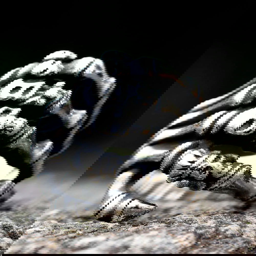 Gothic Skull Skeleton Hand Ring Mens - Stainless Steel Silver - Unisex - That Rock Aesthetic