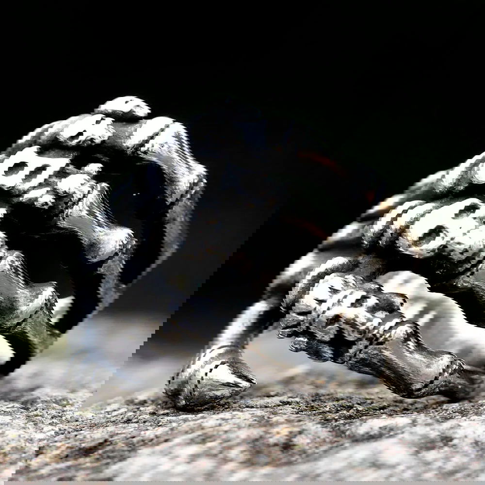 Gothic Skull Skeleton Hand Ring Mens - Stainless Steel Silver - Unisex - That Rock Aesthetic