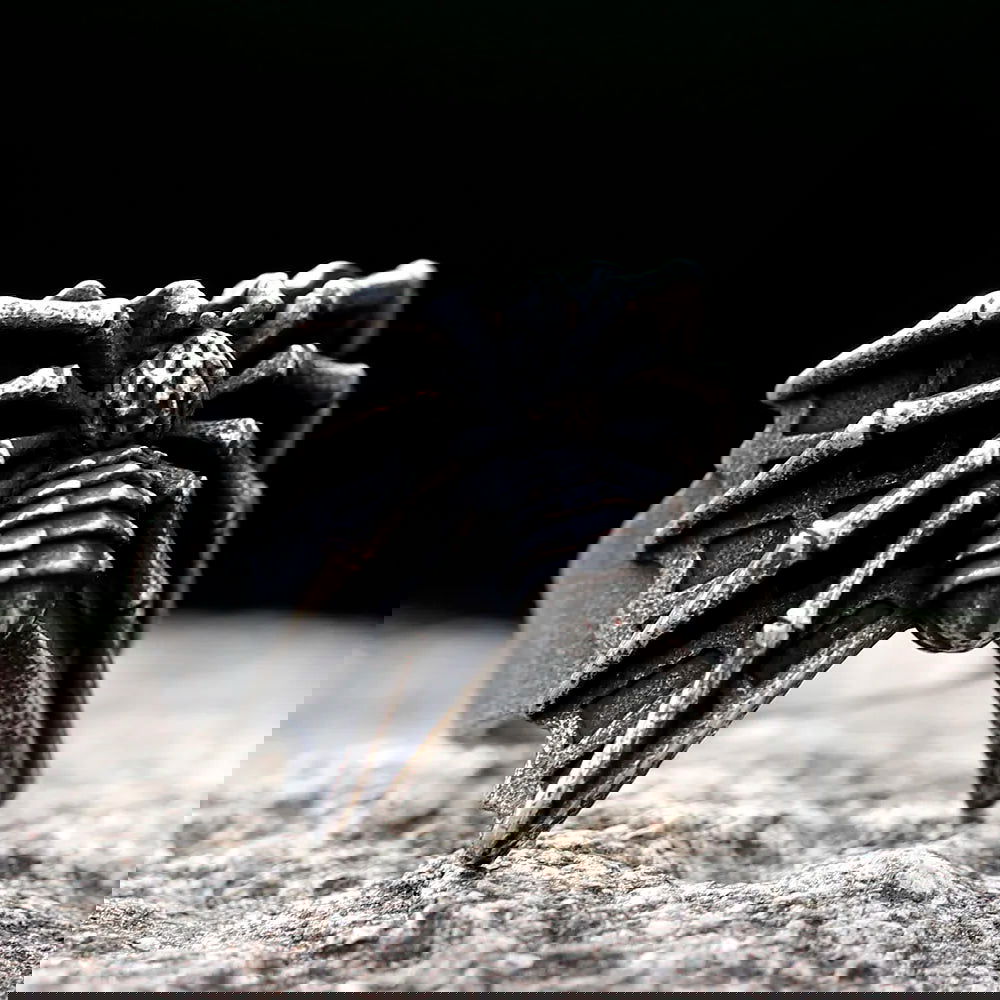 Gothic Web Spider Ring Mens - Stainless Steel Silver - Unisex - That Rock Aesthetic