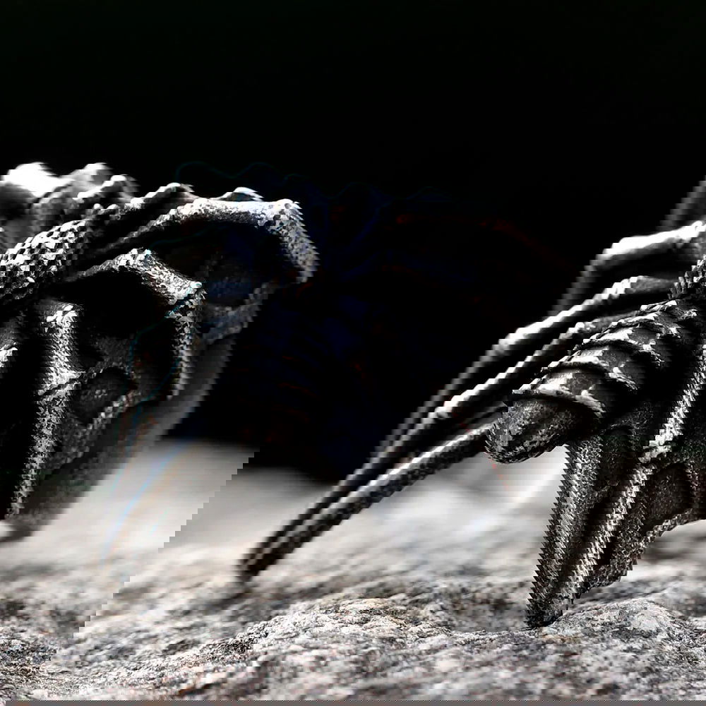 Gothic Web Spider Ring Mens - Stainless Steel Silver - Unisex - That Rock Aesthetic