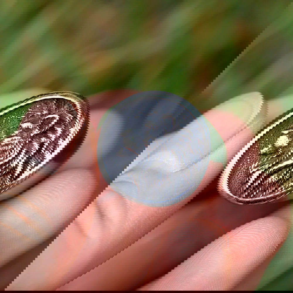 Lion Head Mens Signet Ring - Stainless Steel Silver - Unisex - That Rock Aesthetic