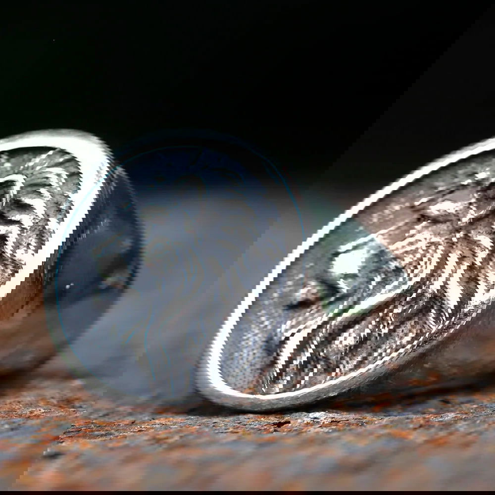 Lion Head Mens Signet Ring - Stainless Steel Silver - Unisex - That Rock Aesthetic