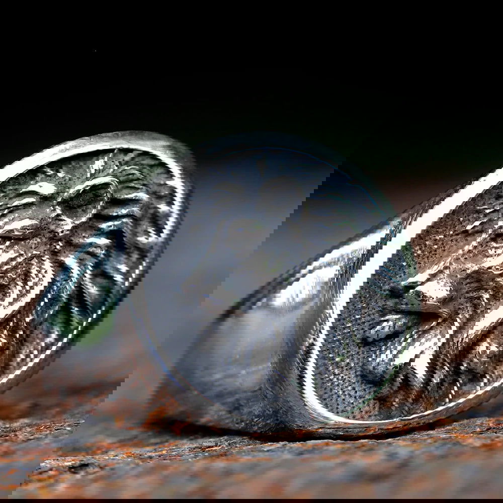 Lion Head Mens Signet Ring - Stainless Steel Silver - Unisex - That Rock Aesthetic