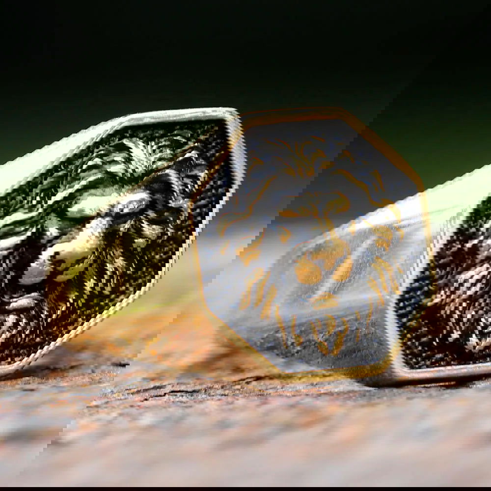 Lion Head Mens Signet Ring - Stainless Steel Silver & Gold - Unisex - That Rock Aesthetic