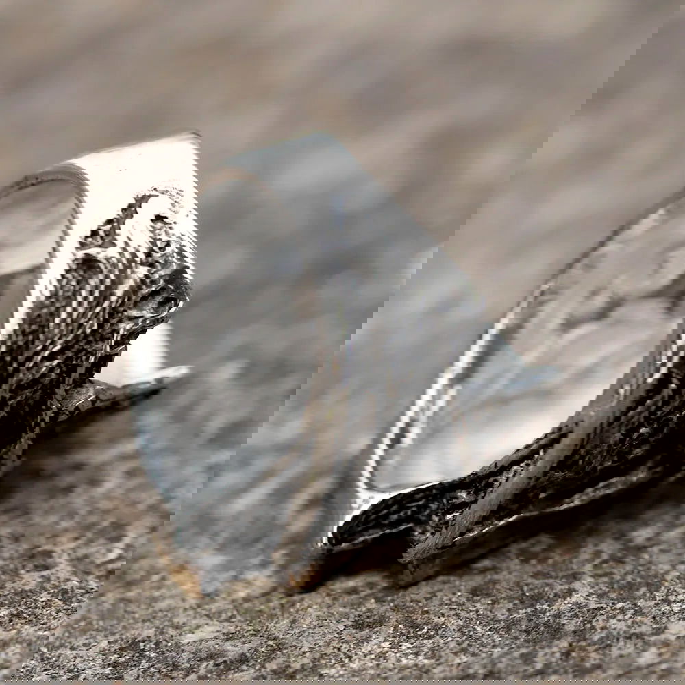 Skull Lightning Bolt Mens Ring - Stainless Steel Silver & Gold - Unisex - That Rock Aesthetic