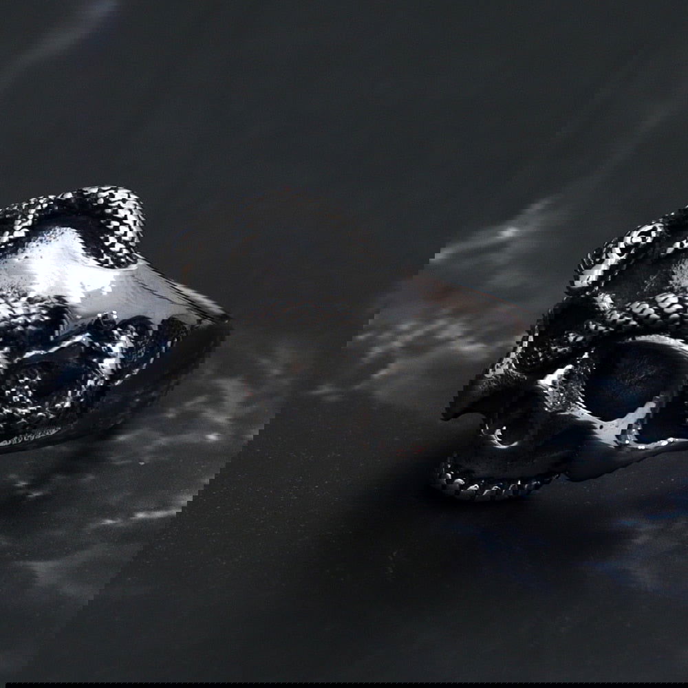 Skull and Snake Gothic Punk Mens Ring - Stainless Steel Silver & Gold - Unisex - That Rock Aesthetic