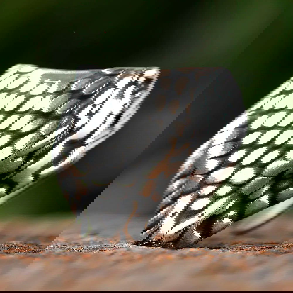 Snake Head Ring Mens - Stainless Steel Silver - Unisex - That Rock Aesthetic