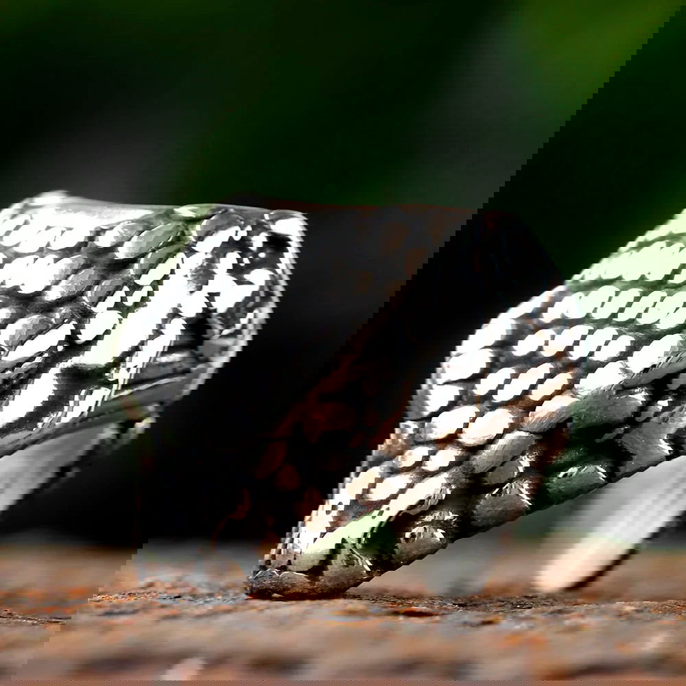Snake Head Ring Mens - Stainless Steel Silver - Unisex - That Rock Aesthetic
