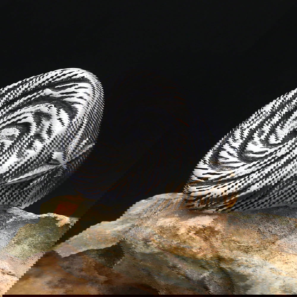 Star Tornado Twist Spiral Ring Mens - Stainless Steel Silver - Unisex - That Rock Aesthetic