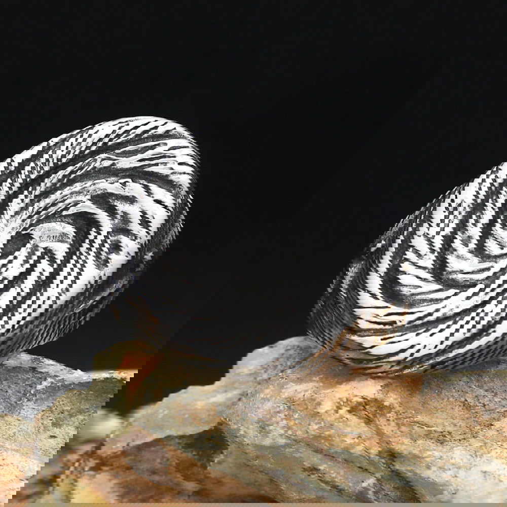 Star Tornado Twist Spiral Ring Mens - Stainless Steel Silver - Unisex - That Rock Aesthetic