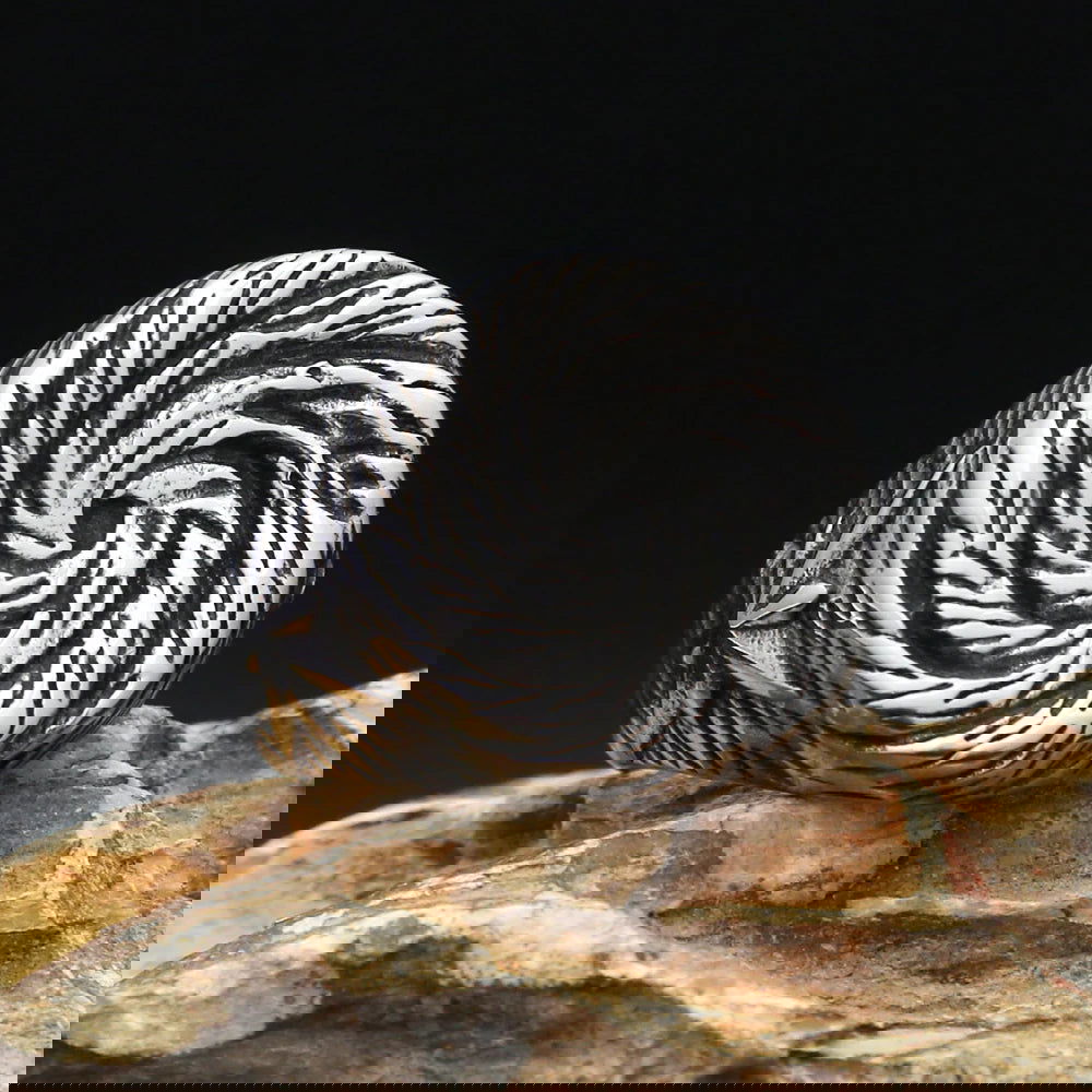 Star Tornado Twist Spiral Ring Mens - Stainless Steel Silver - Unisex - That Rock Aesthetic