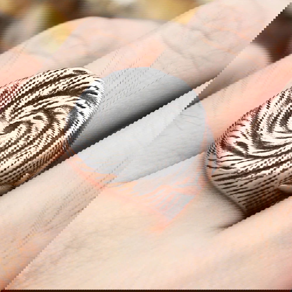 Star Tornado Twist Spiral Ring Mens - Stainless Steel Silver - Unisex - That Rock Aesthetic
