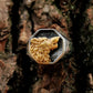 Wolf Head Signet Mens Wolf Ring - Stainless Steel Silver & Gold - Unisex - That Rock Aesthetic