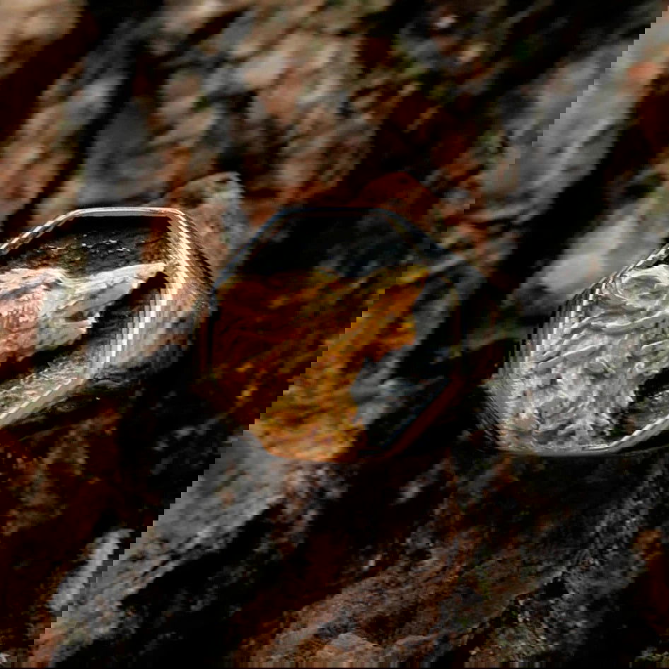 Wolf Head Signet Mens Wolf Ring - Stainless Steel Silver & Gold - Unisex - That Rock Aesthetic